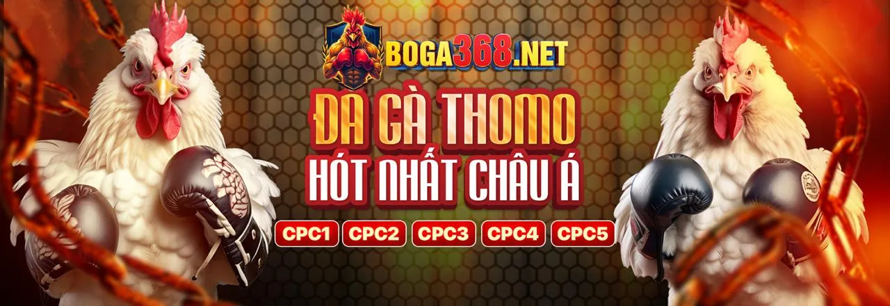 Đá Gà Trực Tuyến cl88