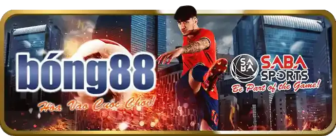 Hoàn trả cược thể thao hàng tuần cl88